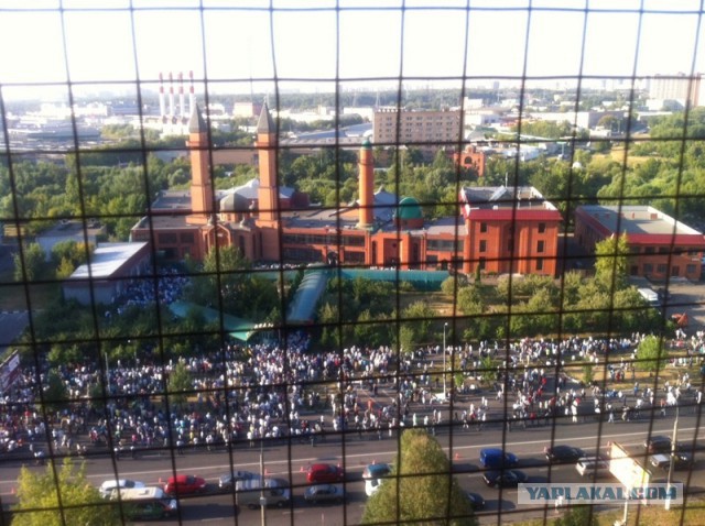 Домой я сегодня опять не попаду!