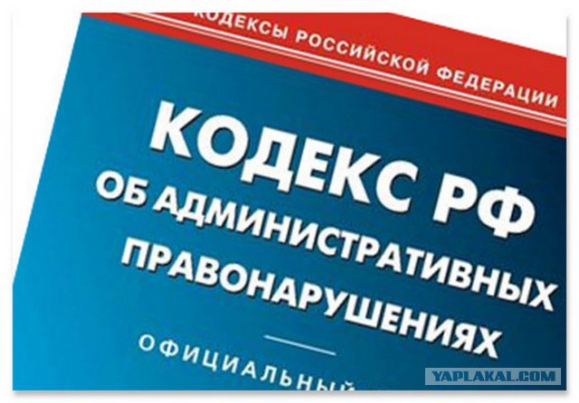 Выгуливайте собак на поводке