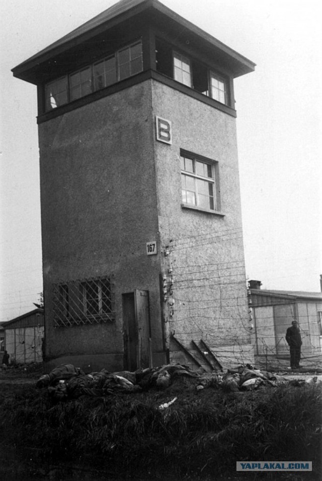 Редкие фотографии из военных архивов