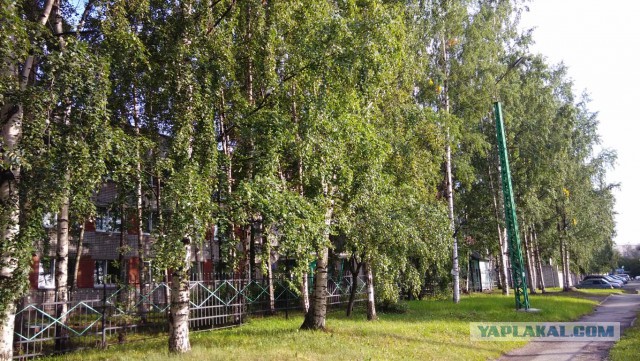 История одного переселенца