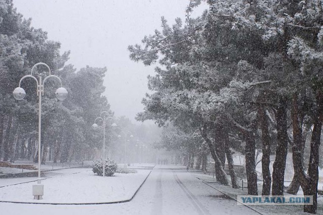 Вечерний Геленджик