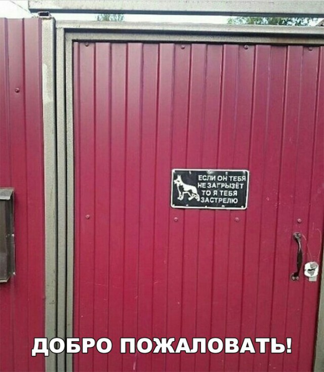 Нестандартный юмор