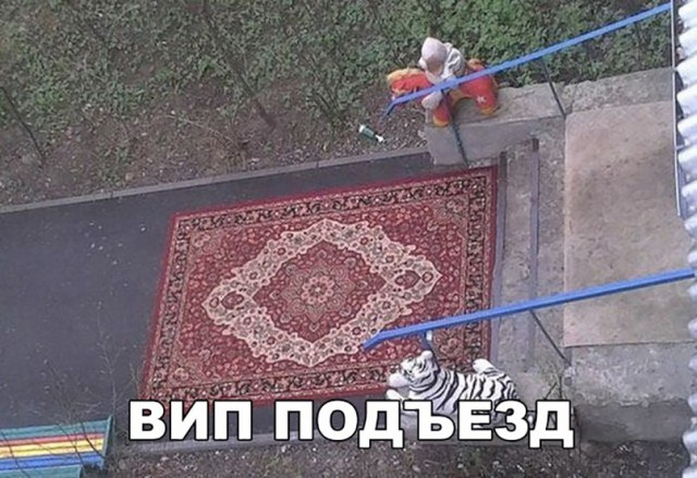 Нестандартный юмор