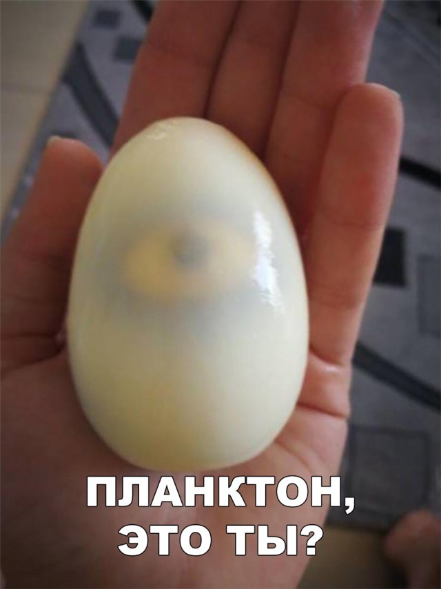 Нестандартный юмор