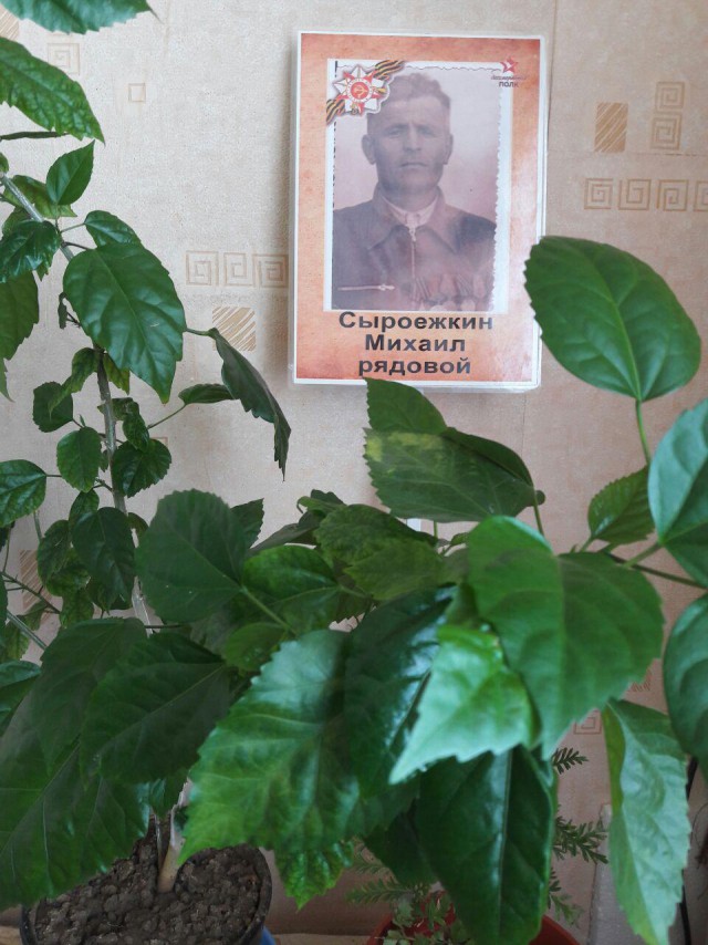 Бесмертный полк г.Чирчика.