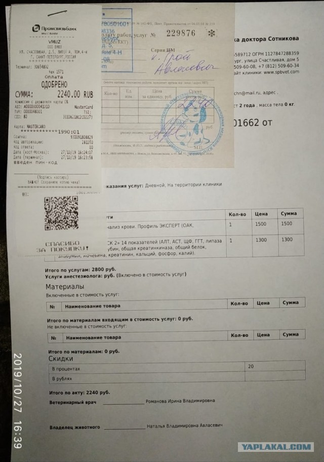 Помогите вернуть кота! Приют "Преданное сердце" украл кота и не отдает!