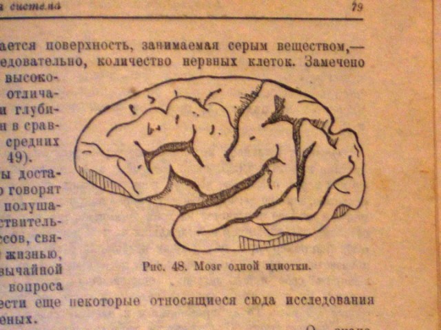 Француженка погибла из-за миксера на глазах у сына 