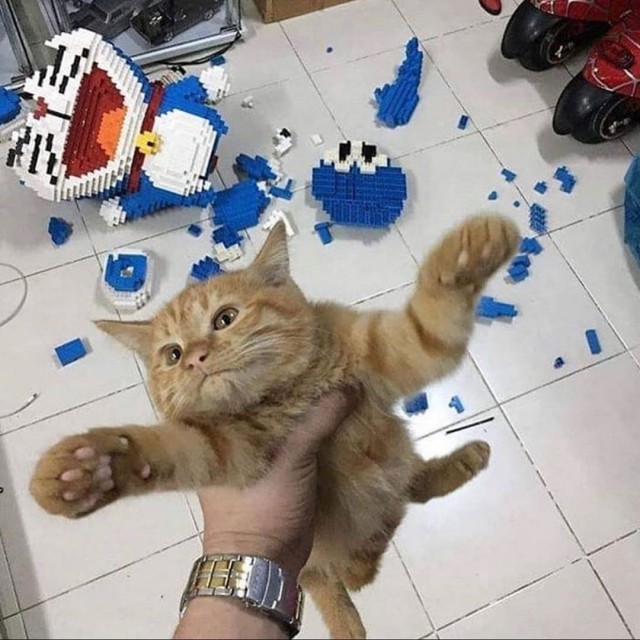 Живность из сети