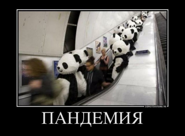 Бредзона 08.02.2020