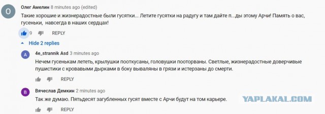 «За пять минут 50 гусей перегрызла»: челябинский охотник, застреливший хаски, рассказал свою версию