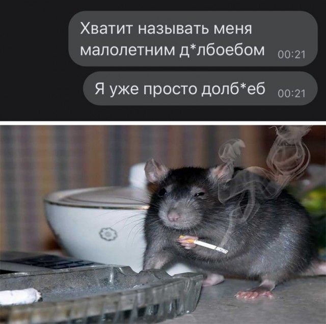 Весёлый полтишок 11.03