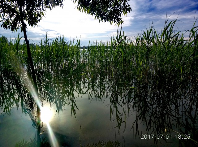 Красота! Только что