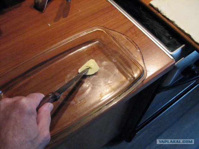 Все из рыбы!