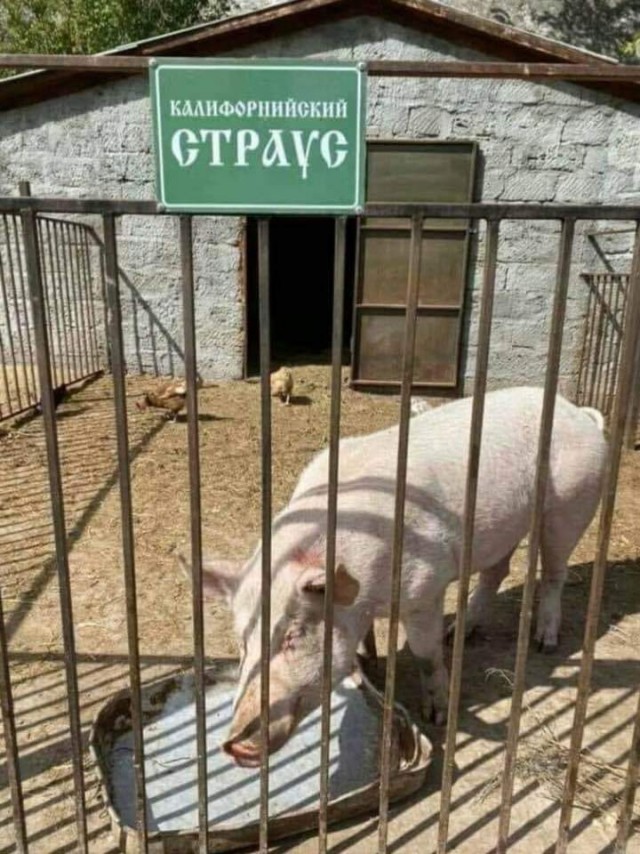 15706811.jpg