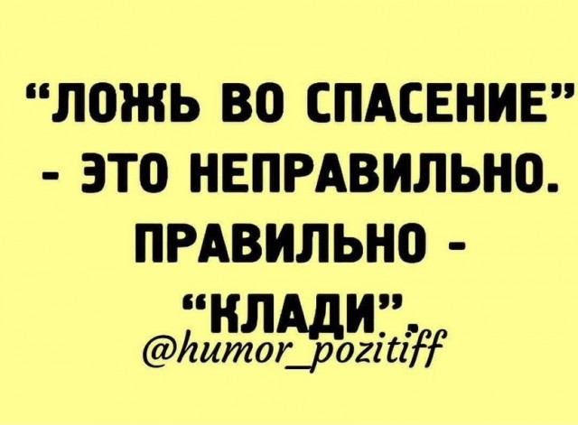 Весёлый полтишок 16.08