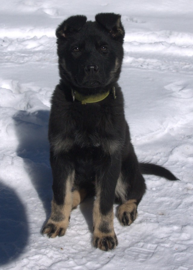 Когда то я была меньше кота, а теперь мы друзья