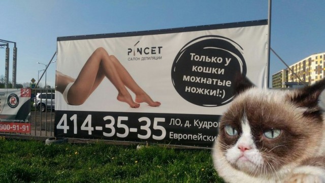 Здесь будет Петербург