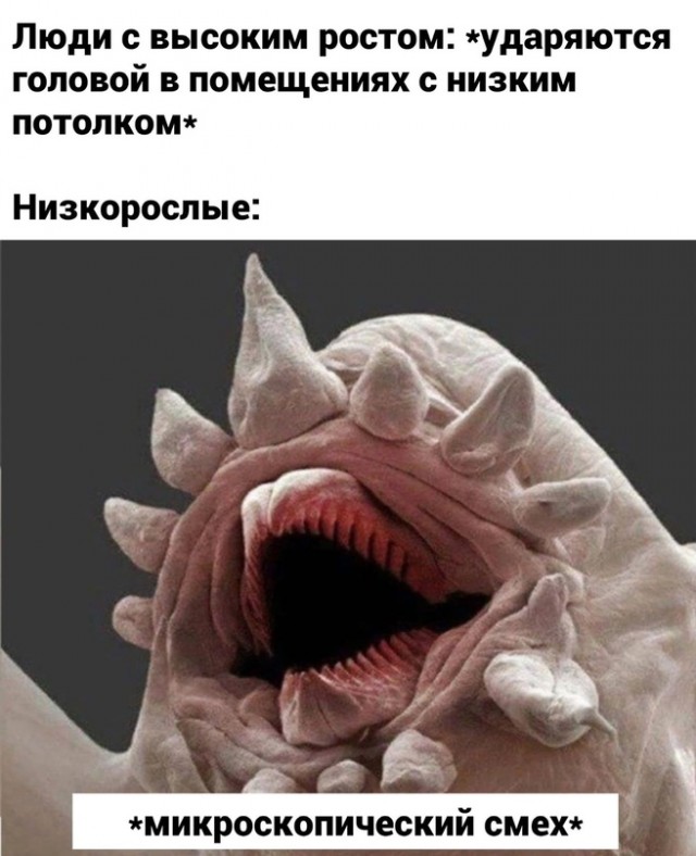 Весёлый полтишок 19.11.2021