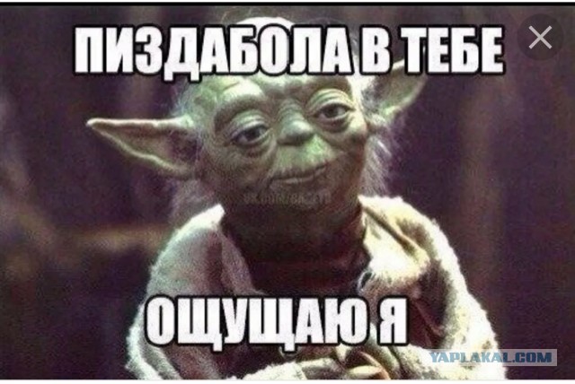 Запрет на вывоз русского леса заработал. Европа взвыла и начала жаловаться в ВТО