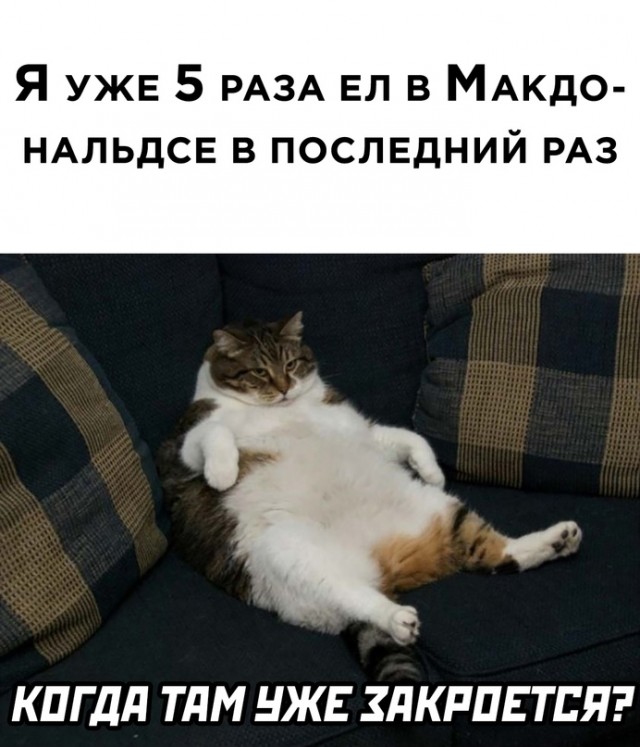 Весёлый полтишок 14.03
