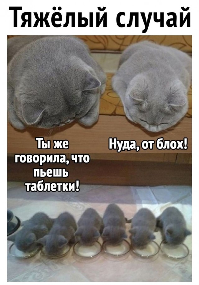 Так себе картинки 03.04.22