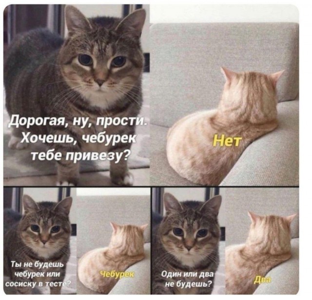 Весёлый полтишок 27.06.22