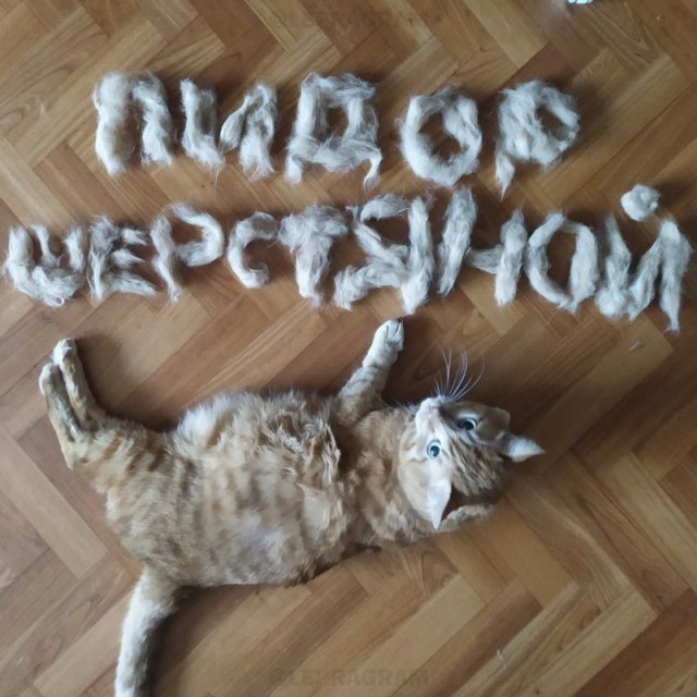 Картинки и мемы для настроения - 03