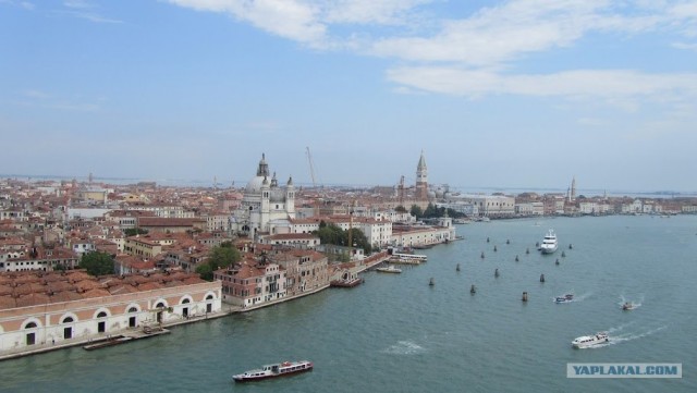 Любовь с первого взгляда