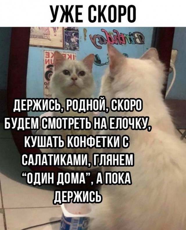 Немного картинок для настроения - 135