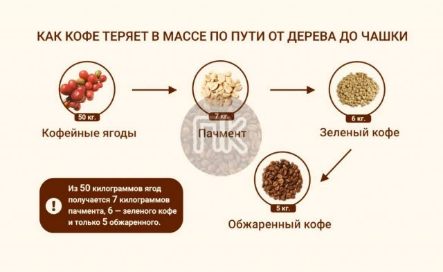 Победная поступь идиотизма по планете – том 9