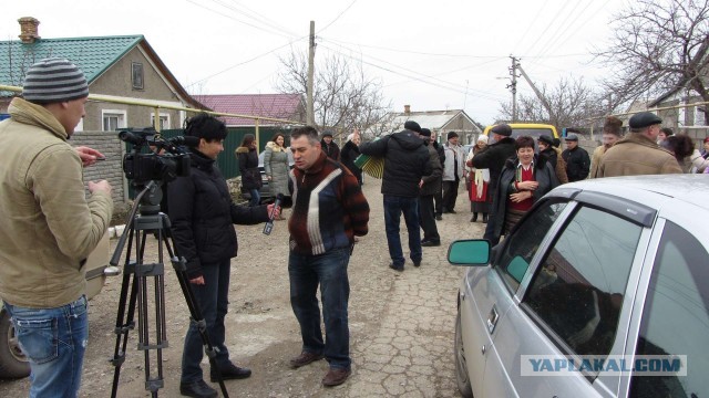 Крым в феврале или "Не стреляйте в белых лебедей!"