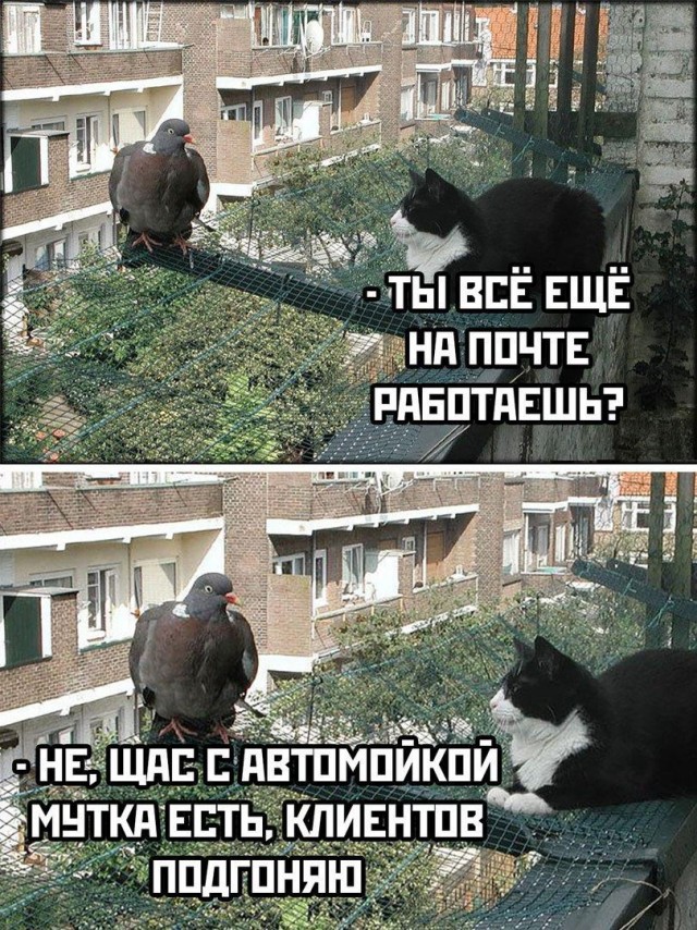 Всего понемногу. От 12.08