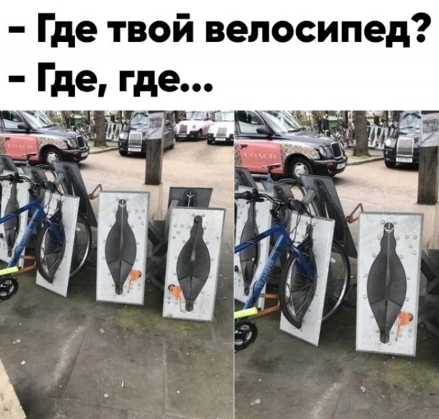 Весёлый полтишок 20.02.24
