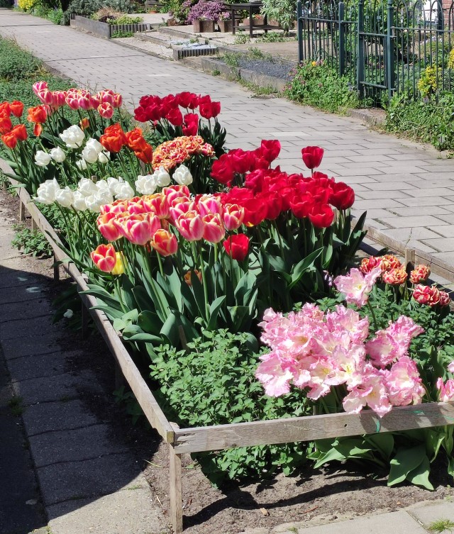 Сегодняшнее фото без затей