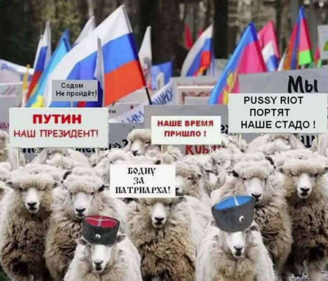 Сажать в тюрьму родителей квадроберов и лишать их родительских прав предложили в Госдуме