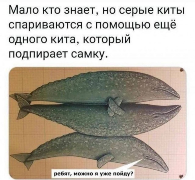 Завалялось тут случайно немного забавных картинок