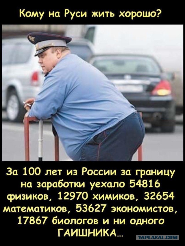 Так себе картинки 26.11.24
