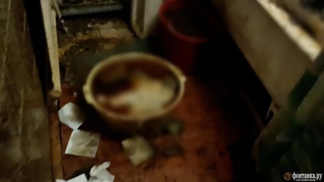 Калово-фекальная драма развернулась в доме на Малом проспекте В.О.