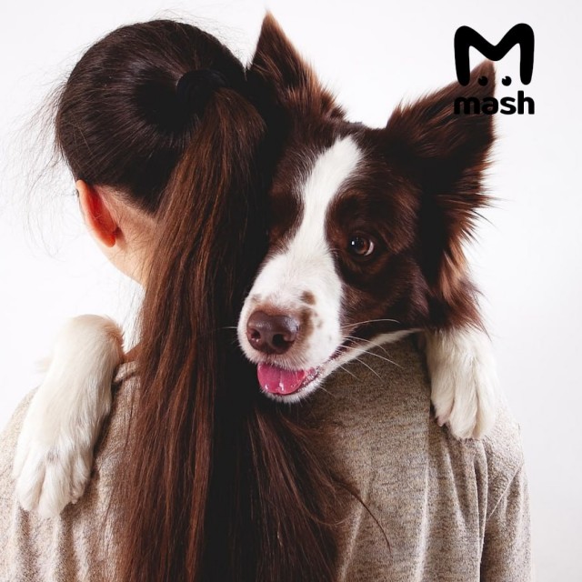 Девушка с диабетом первого типа обучила своего пса предупреждать о снижении уровня глюкозы в крови по запаху.