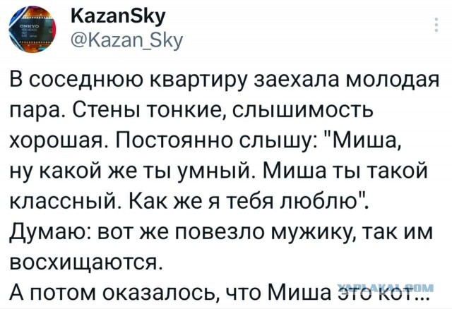 В котовторник.