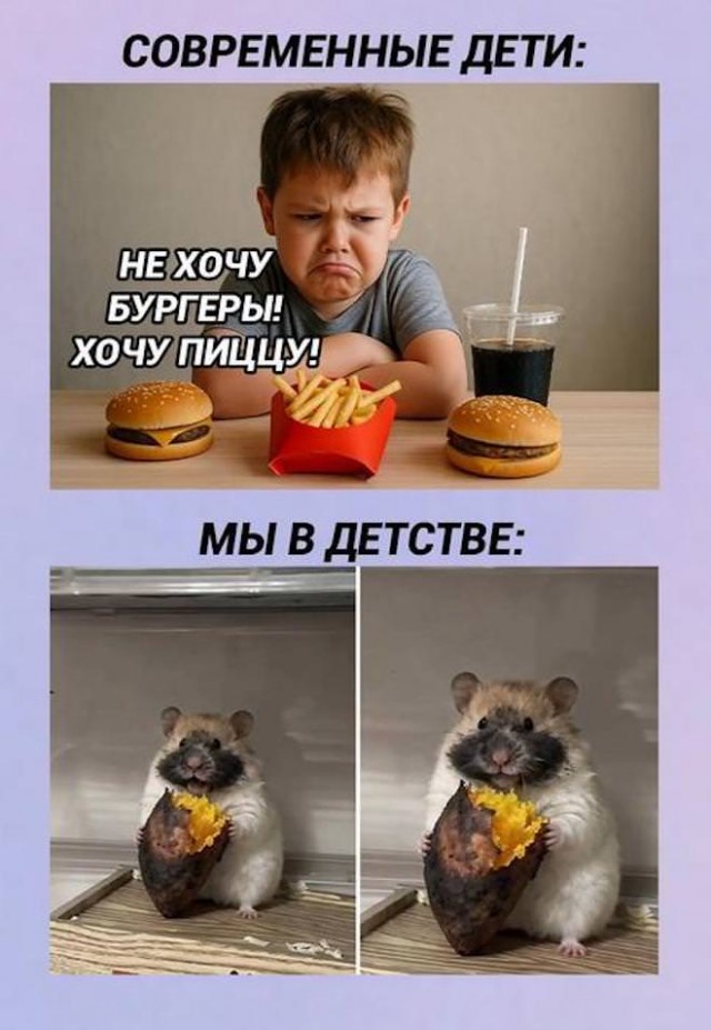 Веселые картинки в маленькую пятницу (05.11)