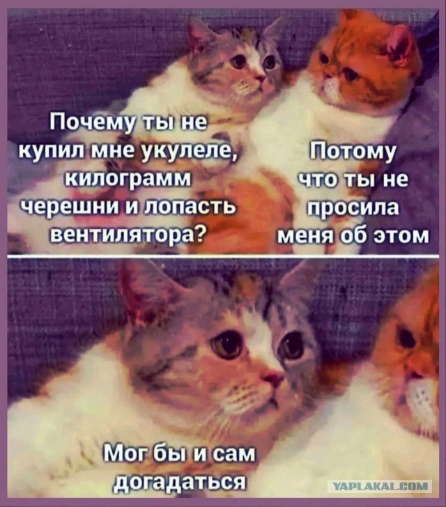 Семейные новости