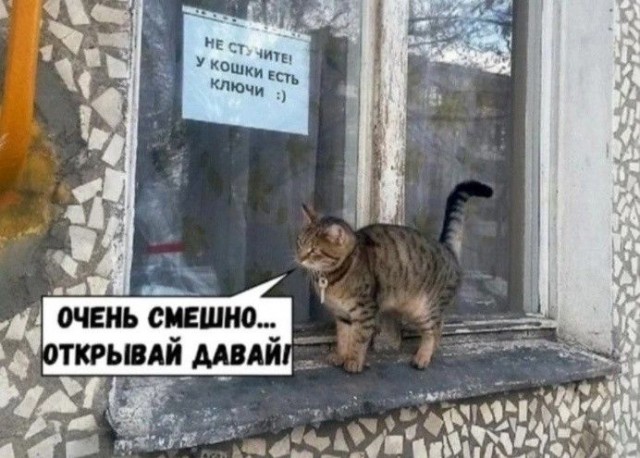 Прикольные и просто красивые картинки 18.11.2025