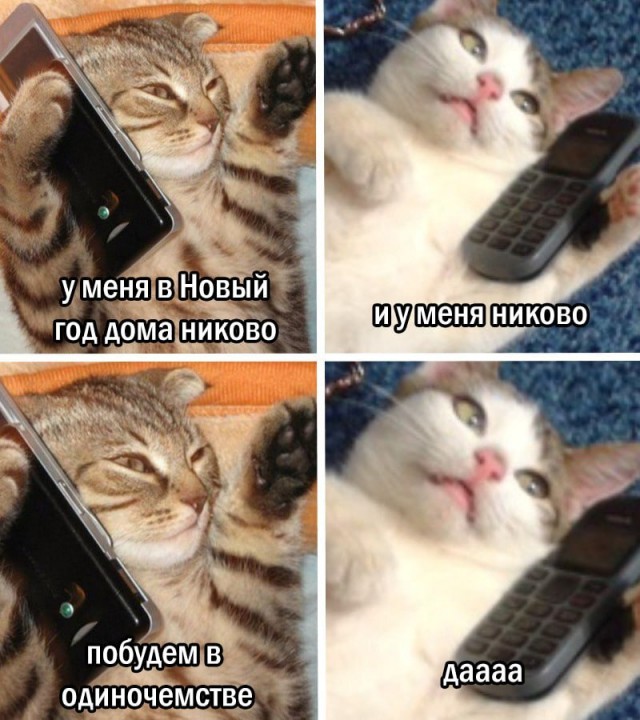 Так себе картинки 31.12.25