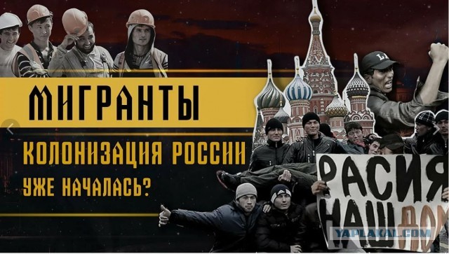 Иностранные специалисты с каждым годом обходятся государству всё дороже