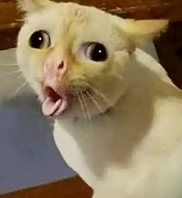 Как это было на самом деле