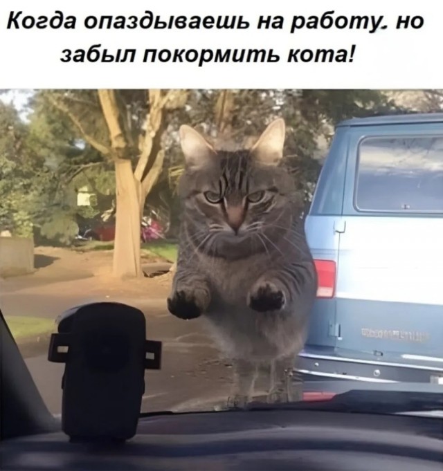 Понедельника картинки