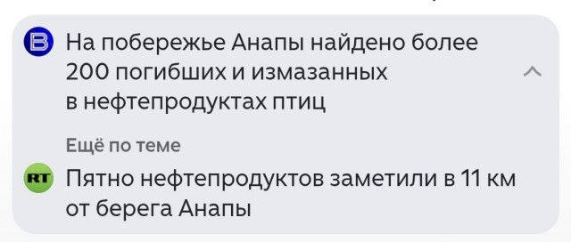 Новый выброс нефти в Анапе. (11.04.2026)