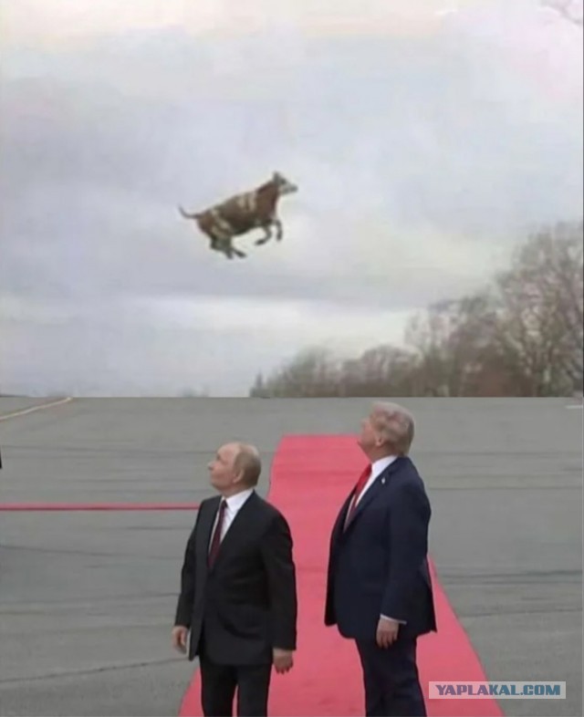 Илон Маск запускает новейший мессенджер
