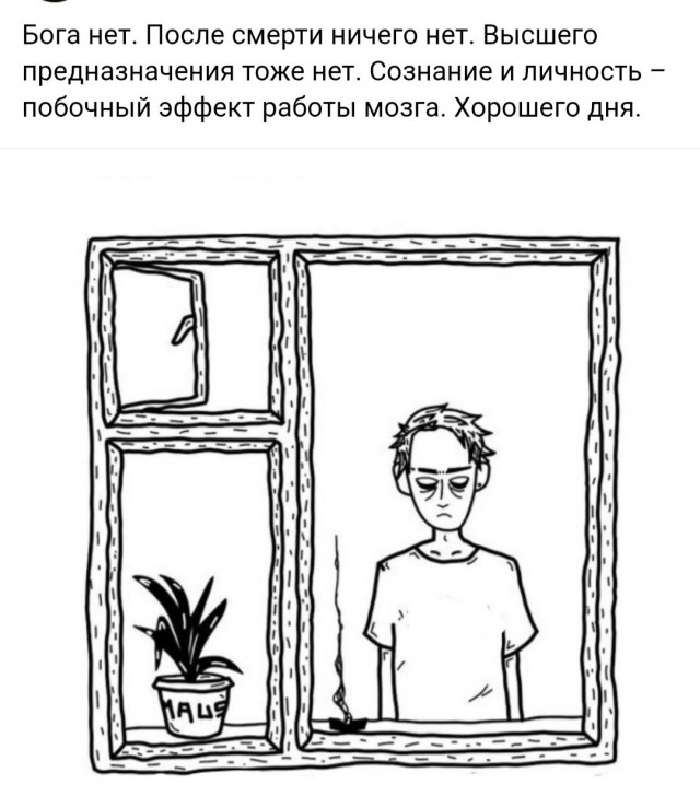 Картиночки, баянчики 14 мая